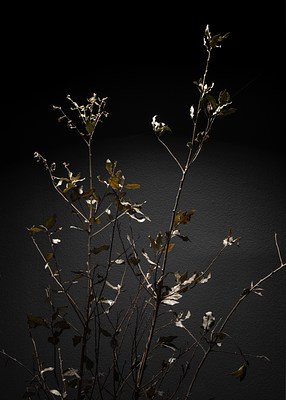 Image 10 of 14