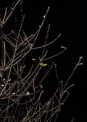 Image 11 of 14
