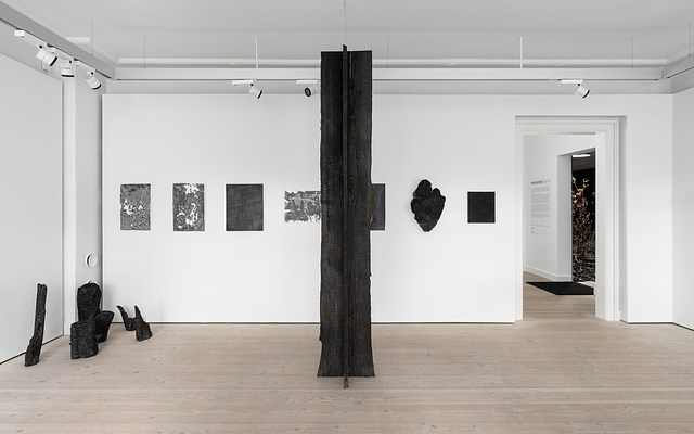 Image 2 of 14