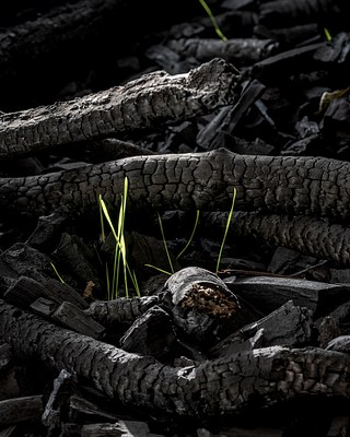 Image 14 of 14