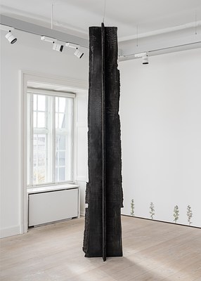 Image 4 of 14