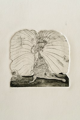 Image 5 of 22