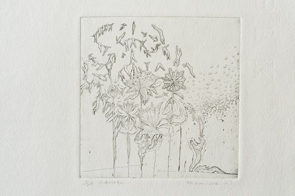 Image 6 of 22