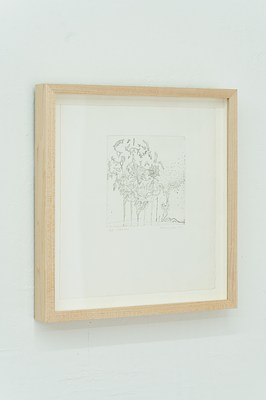 Image 11 of 22
