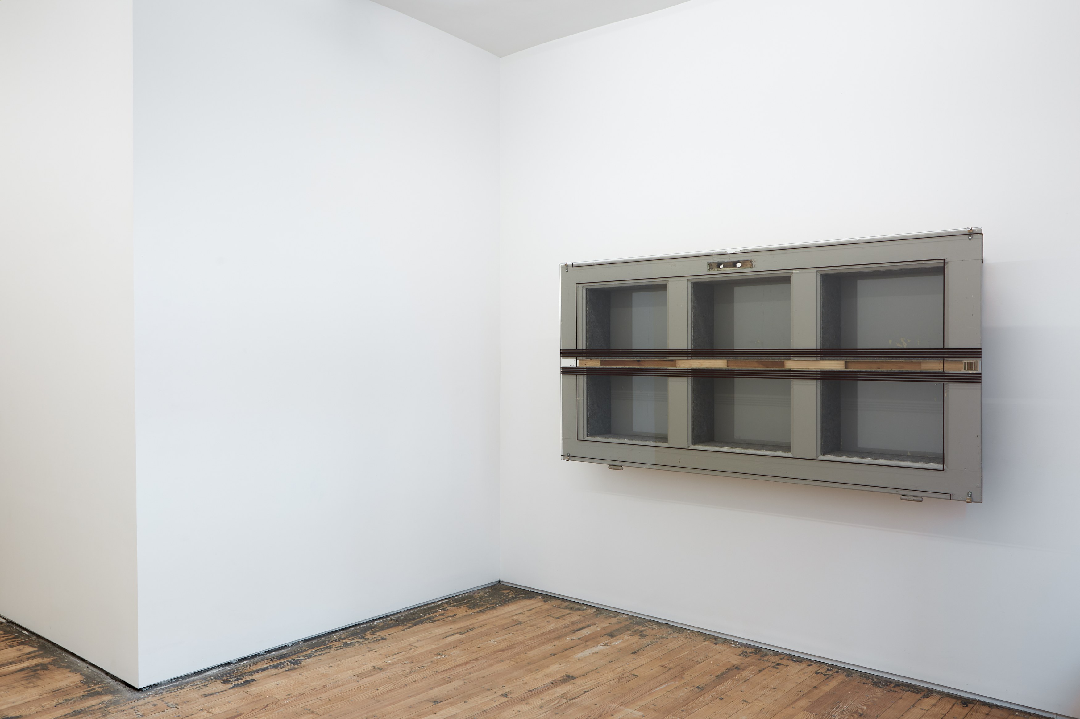 Reinhard Mucha, Kassel at Francis Irv, photo 2