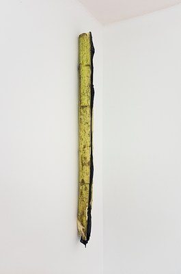 Image 8 of 12