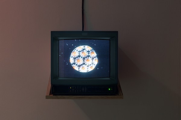Image 7 of 13
