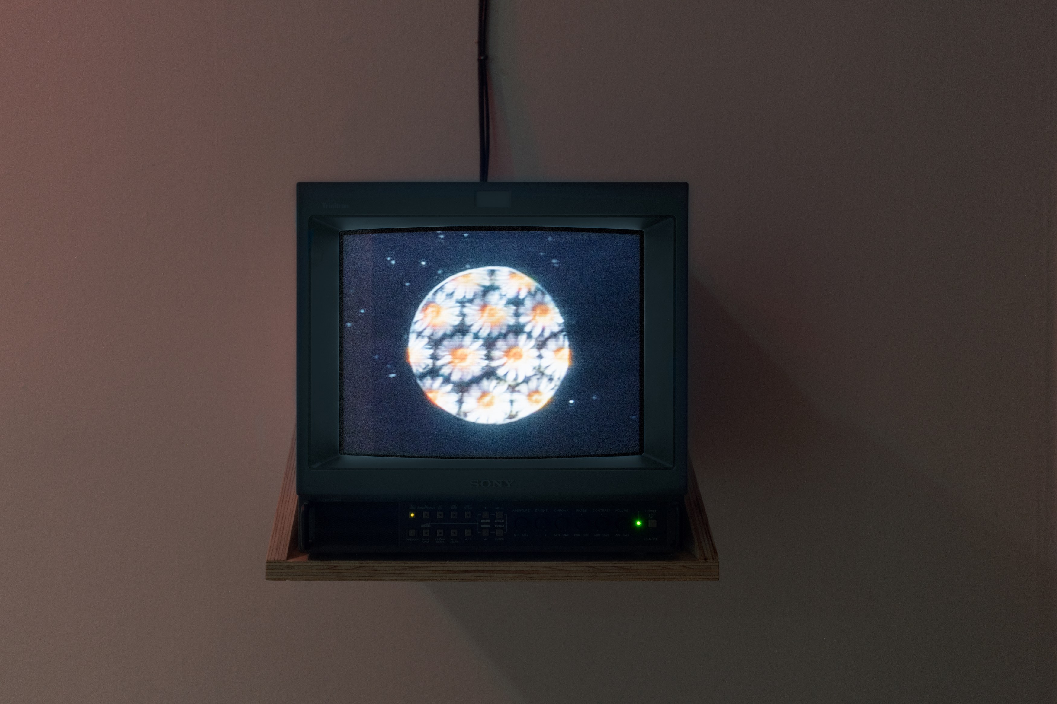 Seasonal Affective, Seasonal Affective at 80WSE, photo 7