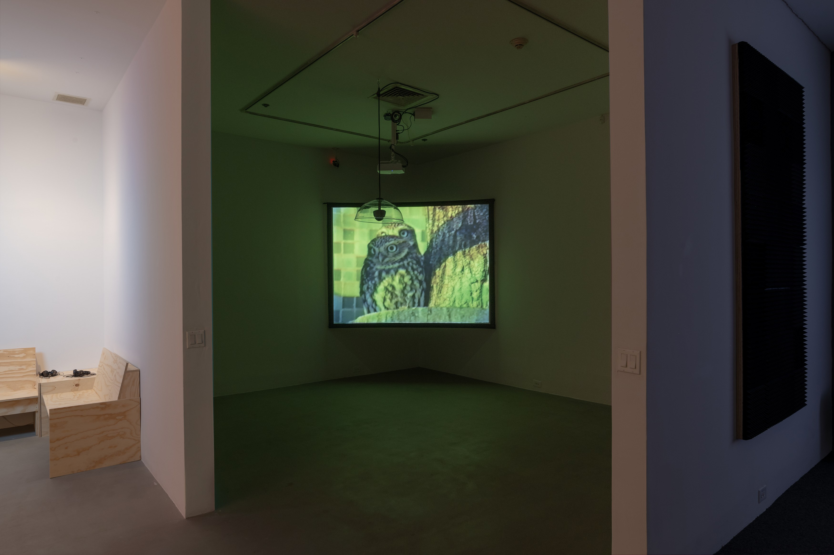 Seasonal Affective, Seasonal Affective at 80WSE, photo 13