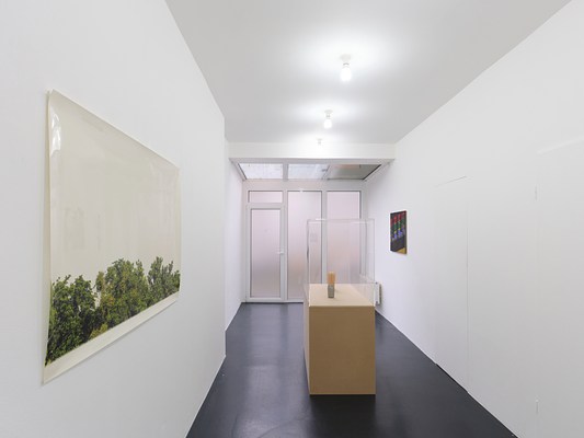 Image 7 of 17