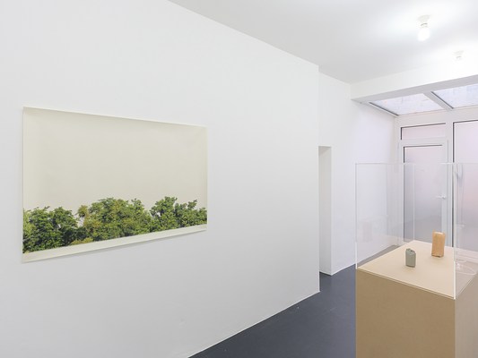 Image 8 of 17