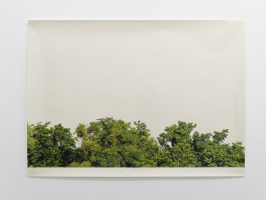 Image 10 of 17