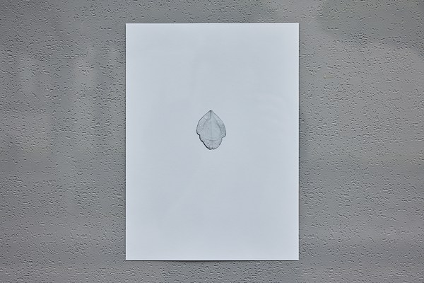 Image 6 of 10