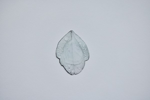 Image 7 of 10