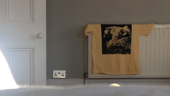 Image 15 of 21