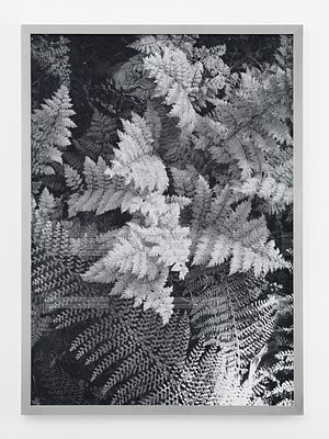 Image 9 of 21