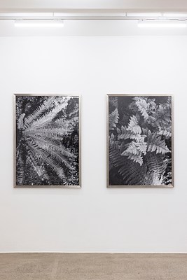Image 2 of 21
