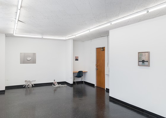 Image 6 of 27