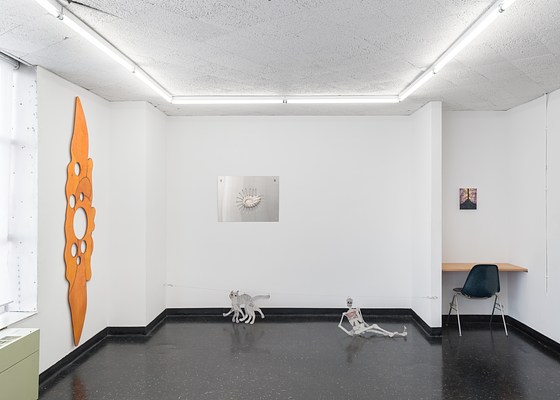 Image 7 of 27