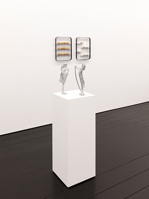 Image 4 of 17