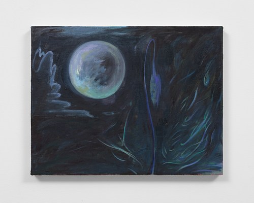 Image 21 of 23