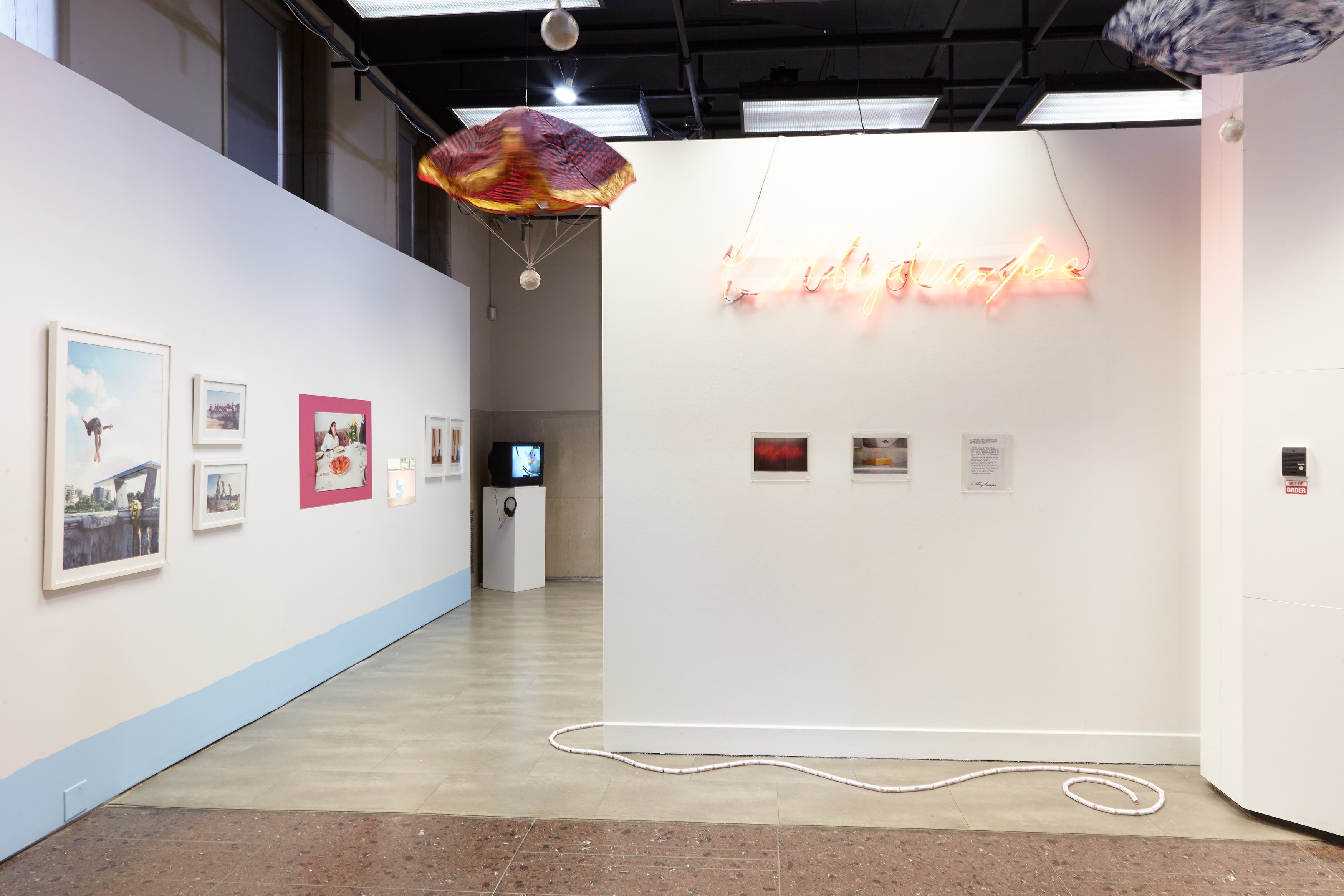 We didn’t ask permission, we just did it..., We didn’t ask permission, we just did it... at Mishkin Gallery, Baruch College, photo 15