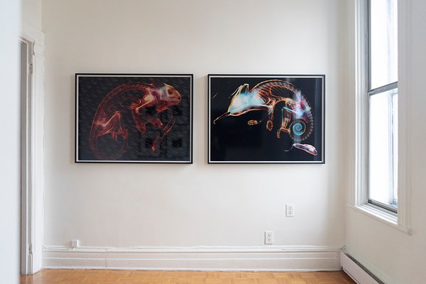 Image 3 of 12