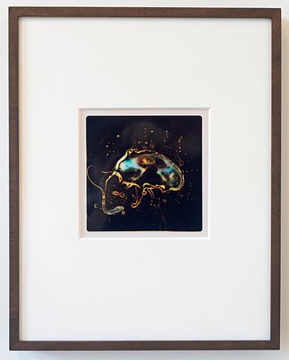 Image 7 of 12