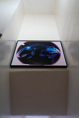 Image 10 of 12