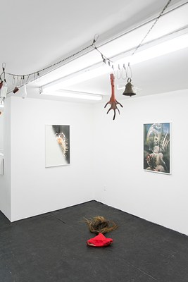 Image 4 of 24