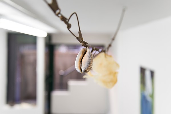 Image 10 of 24