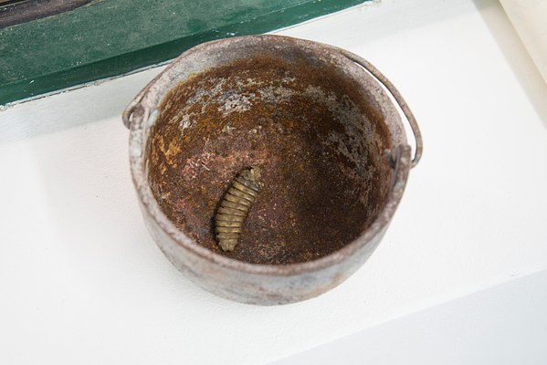 Image 13 of 24
