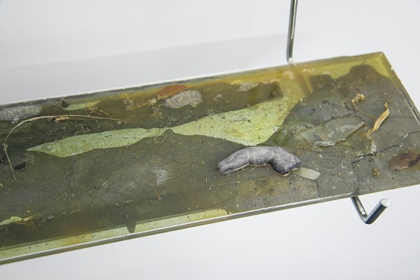 Image 18 of 24