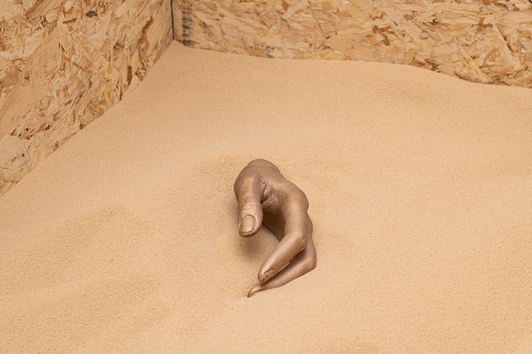 Image 12 of 25