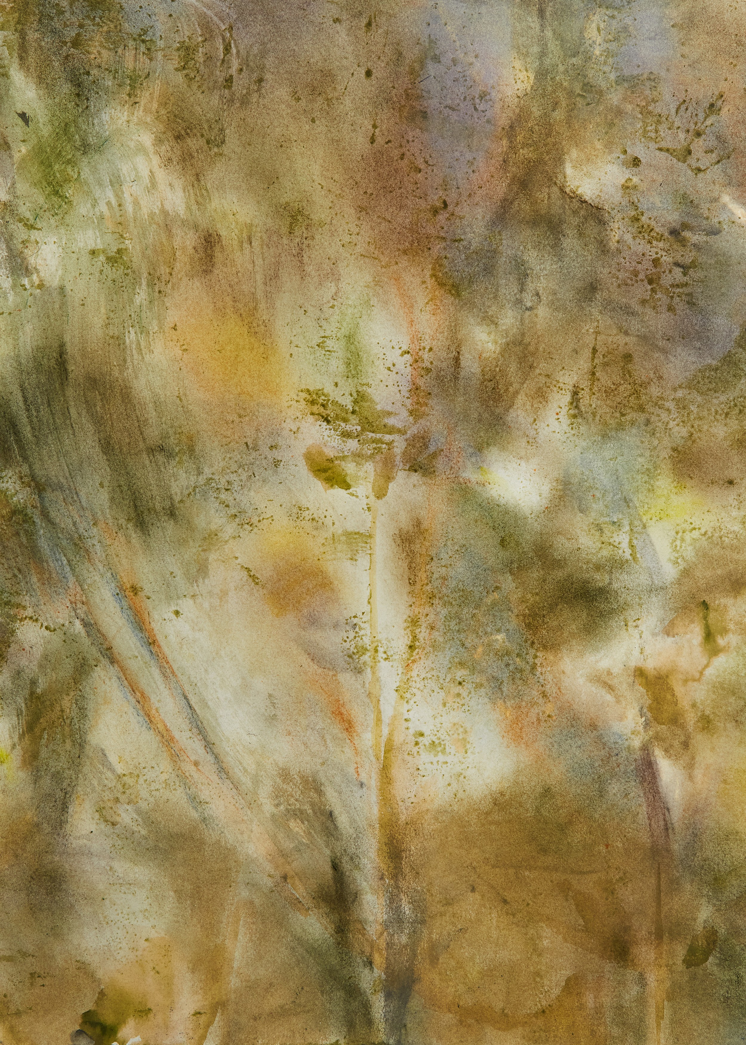 Carole Ebtinger, Esther Gatón, phosphorescence of my local lore at South Parade, photo 14