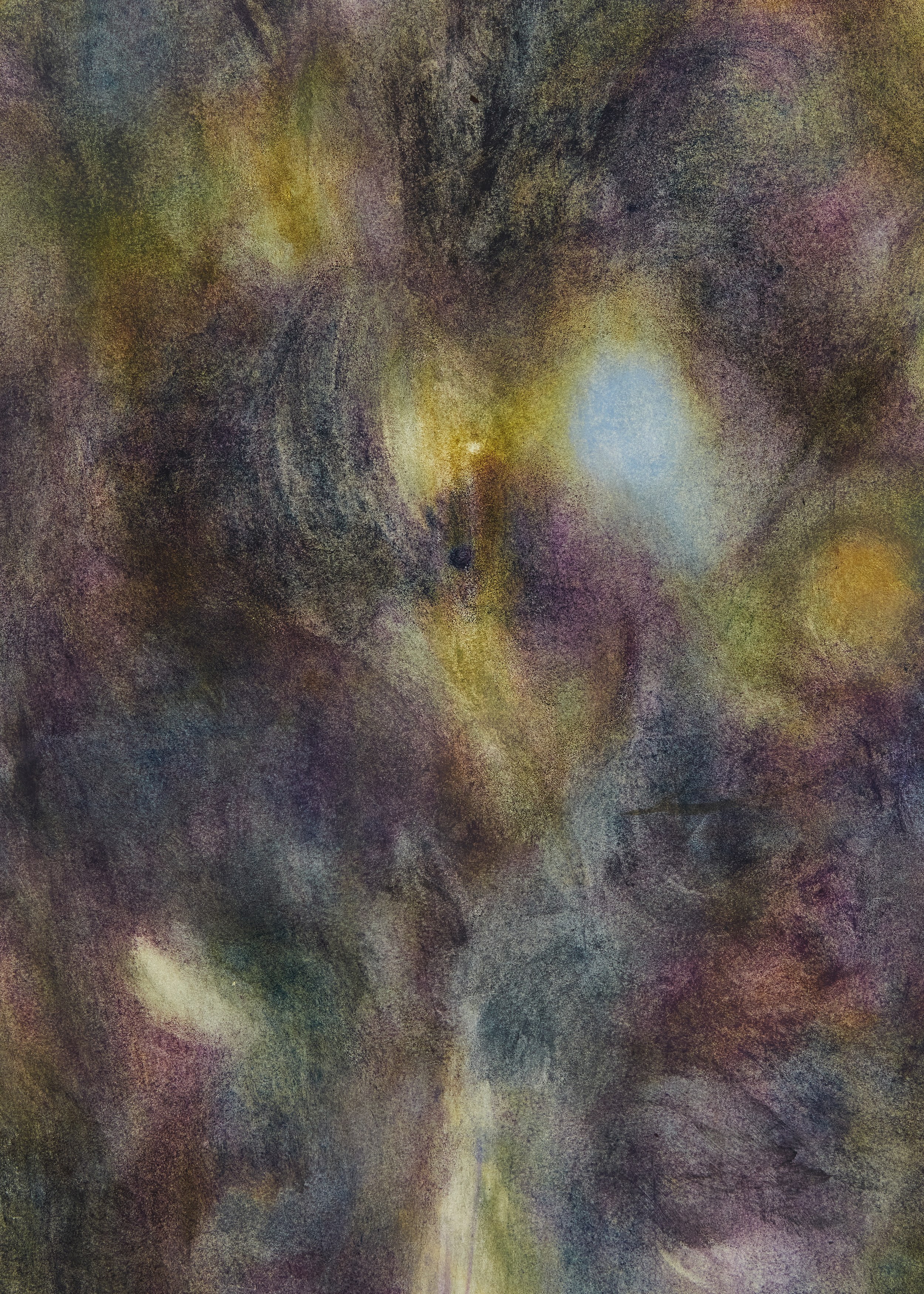 Carole Ebtinger, Esther Gatón, phosphorescence of my local lore at South Parade, photo 15