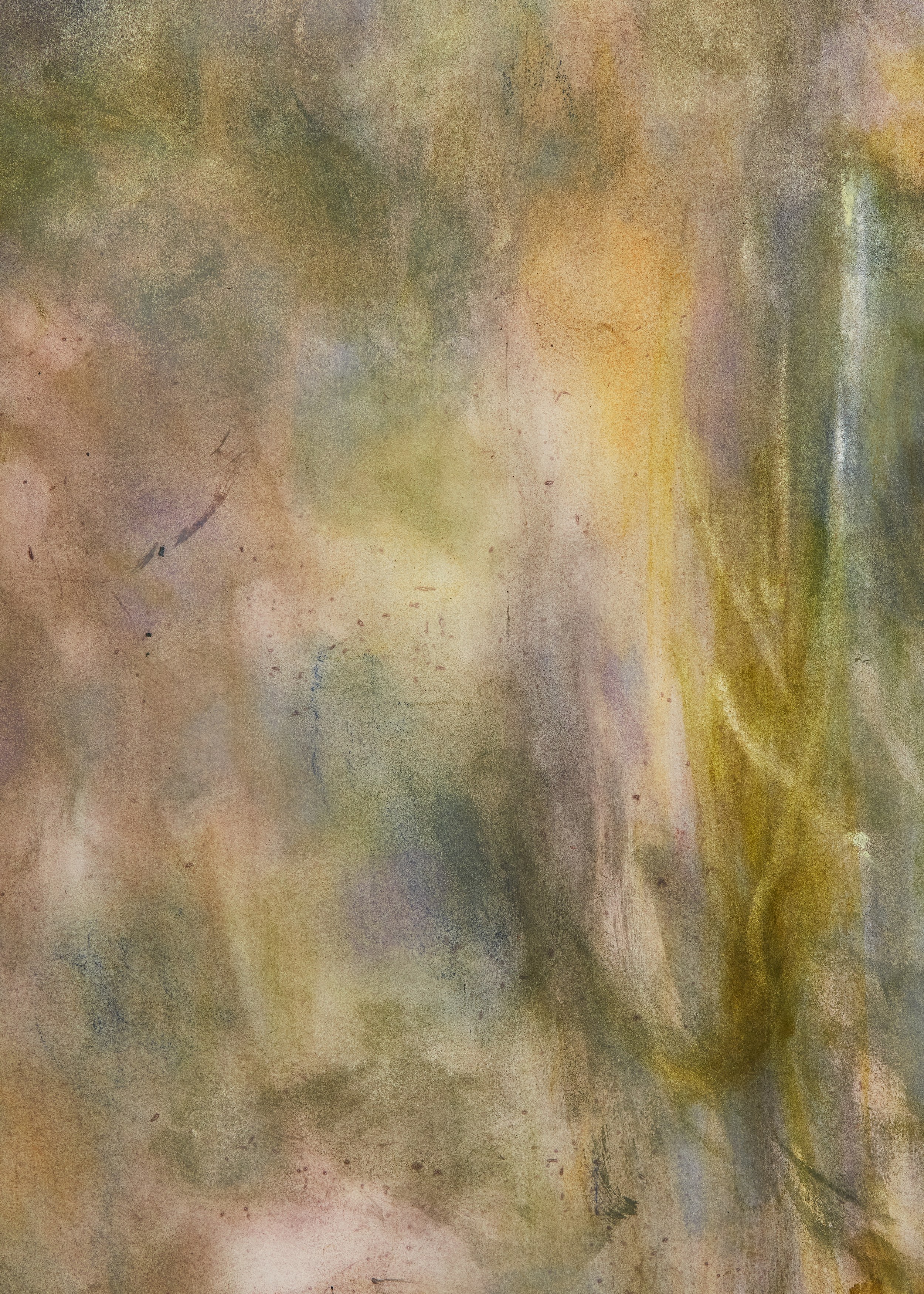 Carole Ebtinger, Esther Gatón, phosphorescence of my local lore at South Parade, photo 16