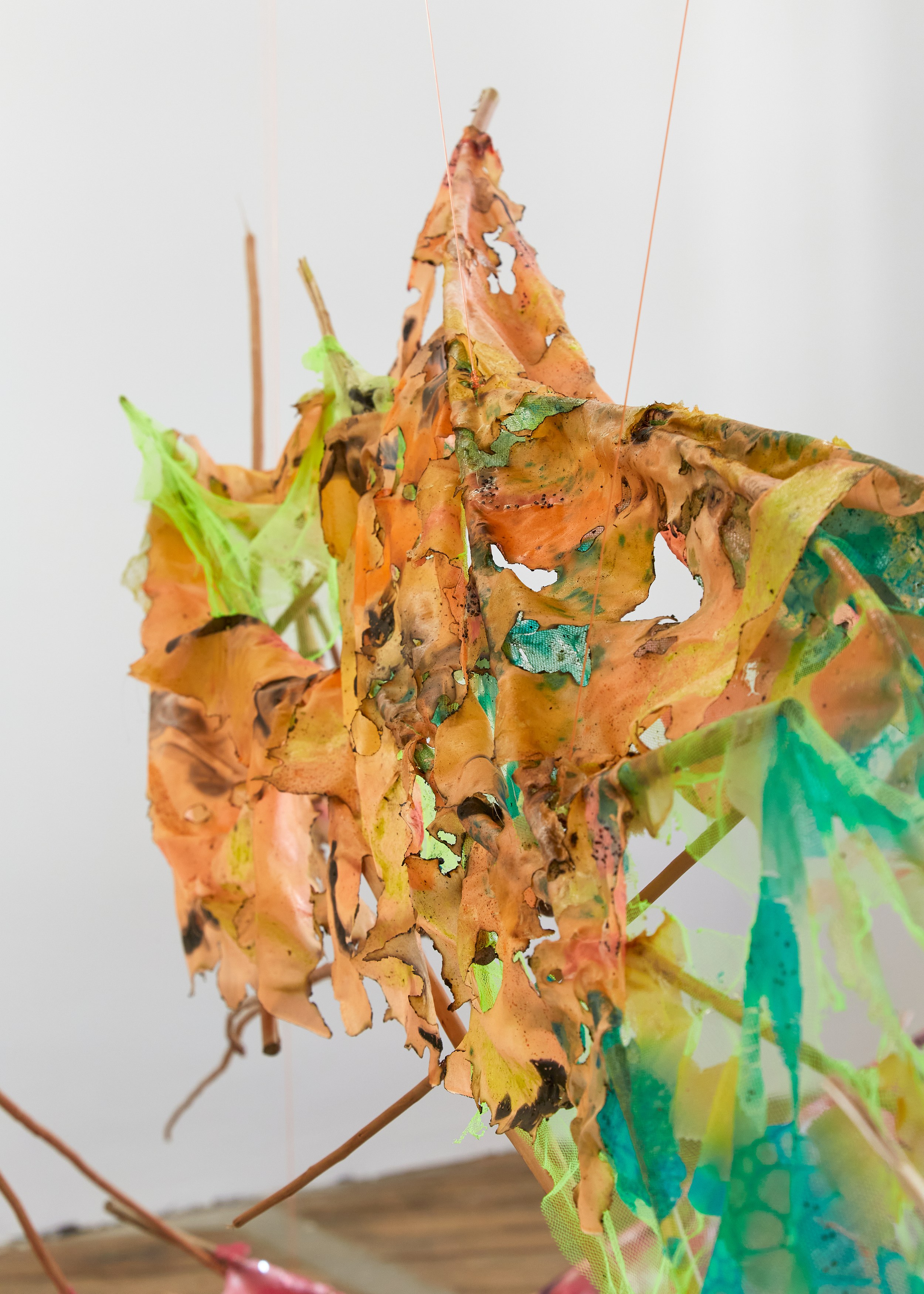Carole Ebtinger, Esther Gatón, phosphorescence of my local lore at South Parade, photo 19