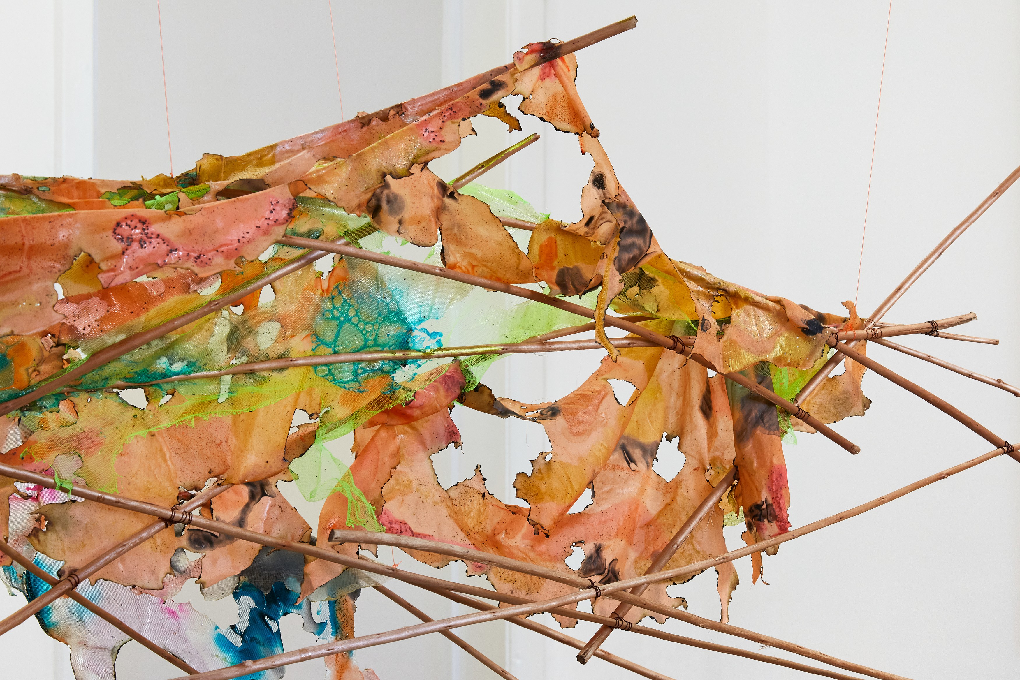 Carole Ebtinger, Esther Gatón, phosphorescence of my local lore at South Parade, photo 18