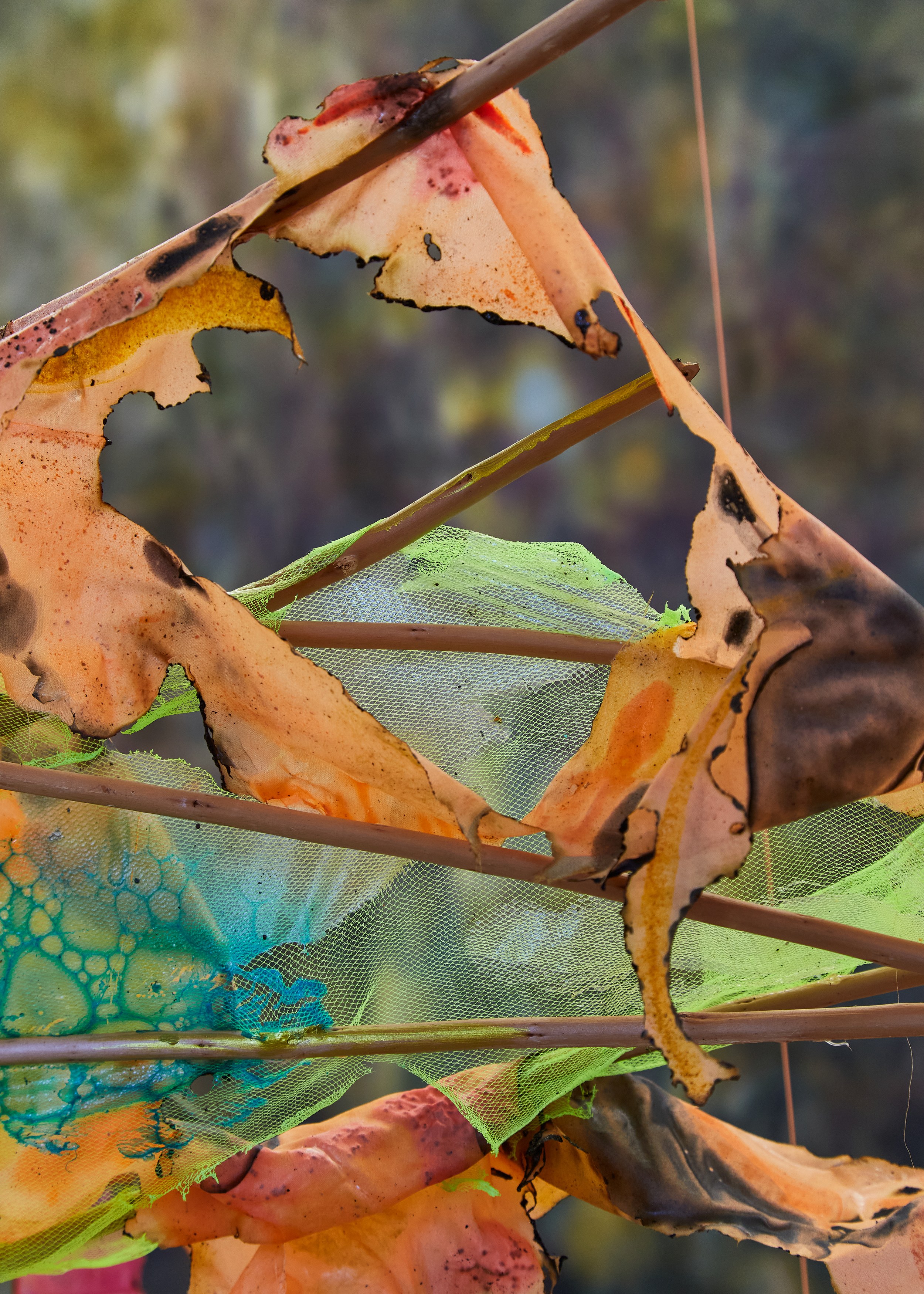 Carole Ebtinger, Esther Gatón, phosphorescence of my local lore at South Parade, photo 20