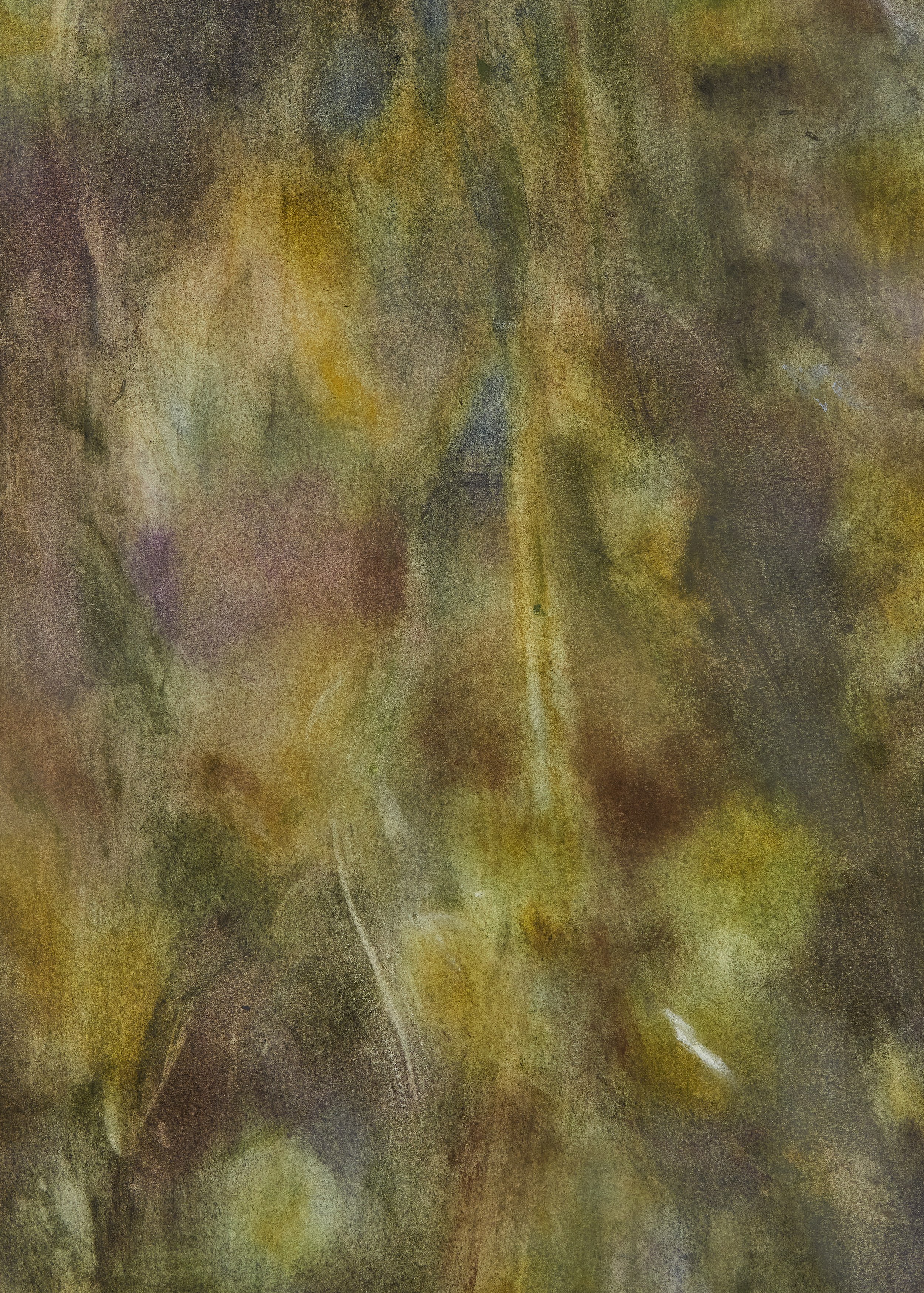 Carole Ebtinger, Esther Gatón, phosphorescence of my local lore at South Parade, photo 17