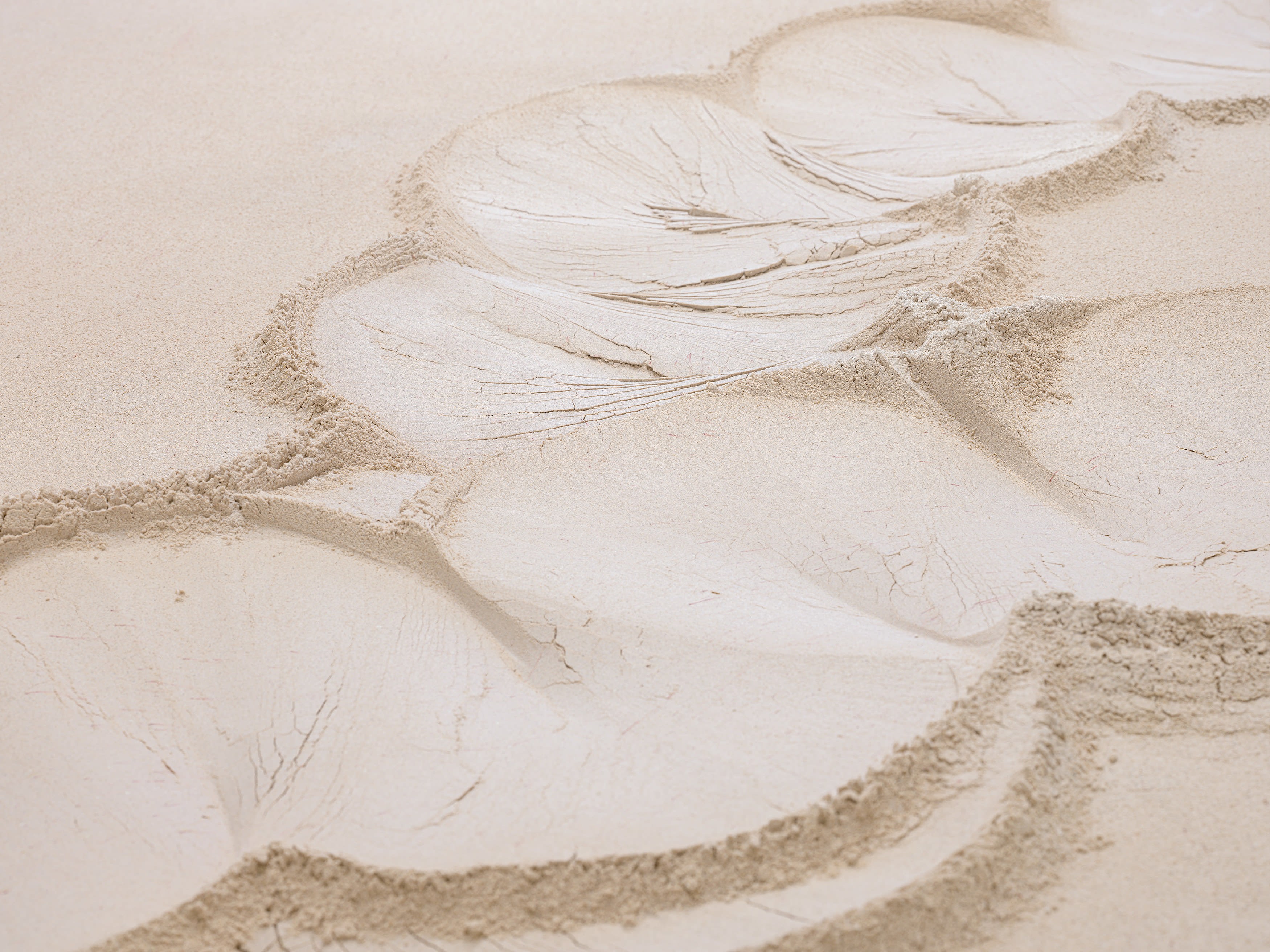Elena Damiani, Tellurian Surface and Core Fragments at Galerie Nordenhake, photo 32