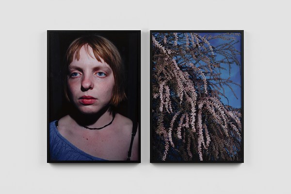 Image 16 of 27
