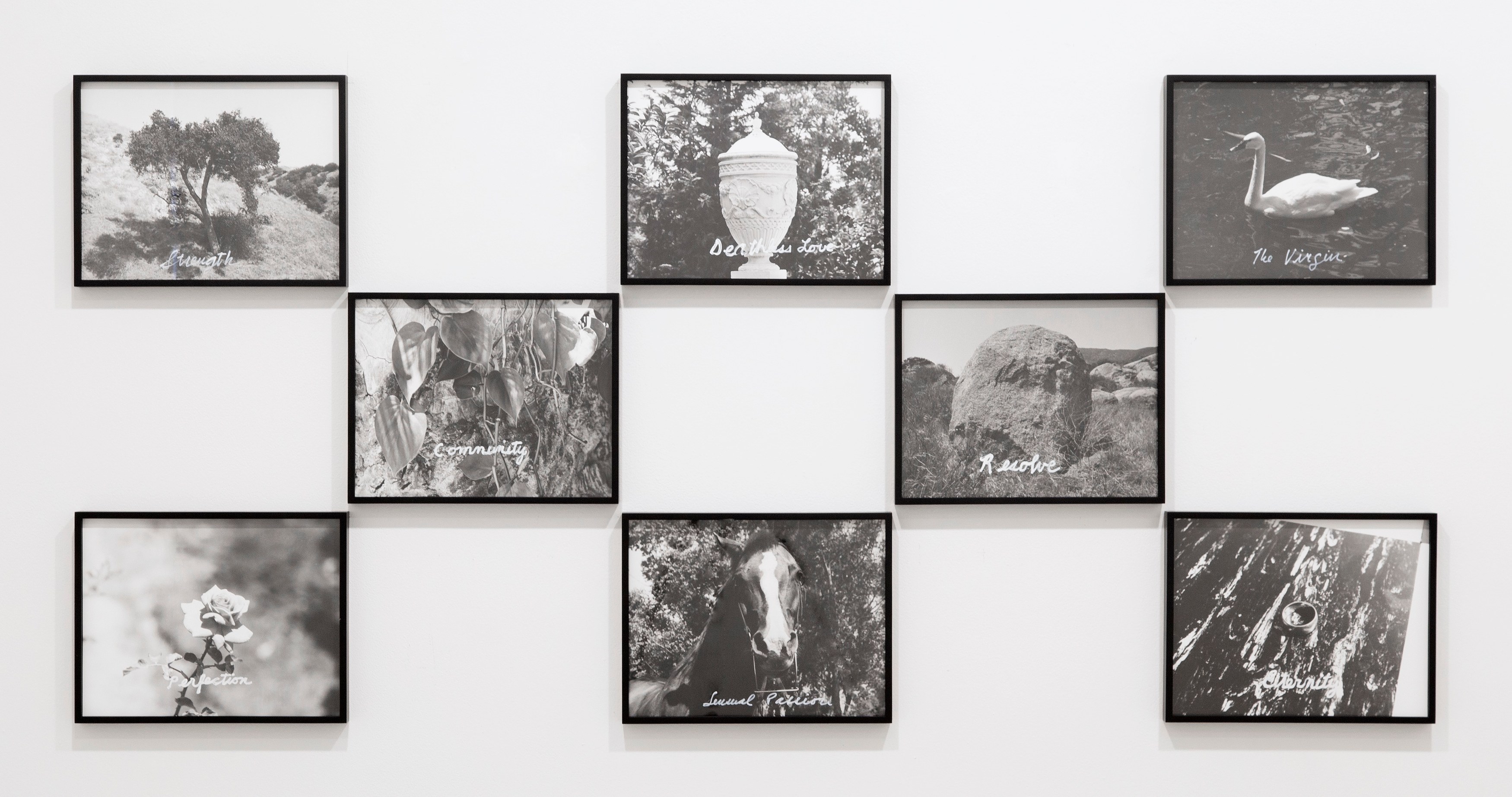 The Novel That Writes Itself, The Novel That Writes Itself at Greene Naftali, photo 18