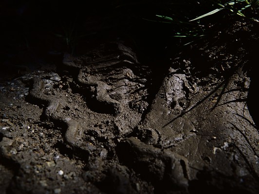 Image 41 of 44
