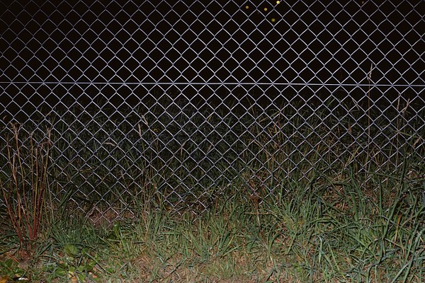 Image 43 of 44