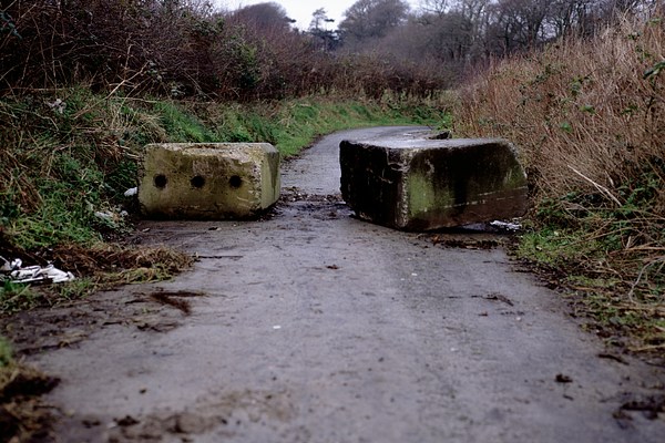 Image 44 of 44