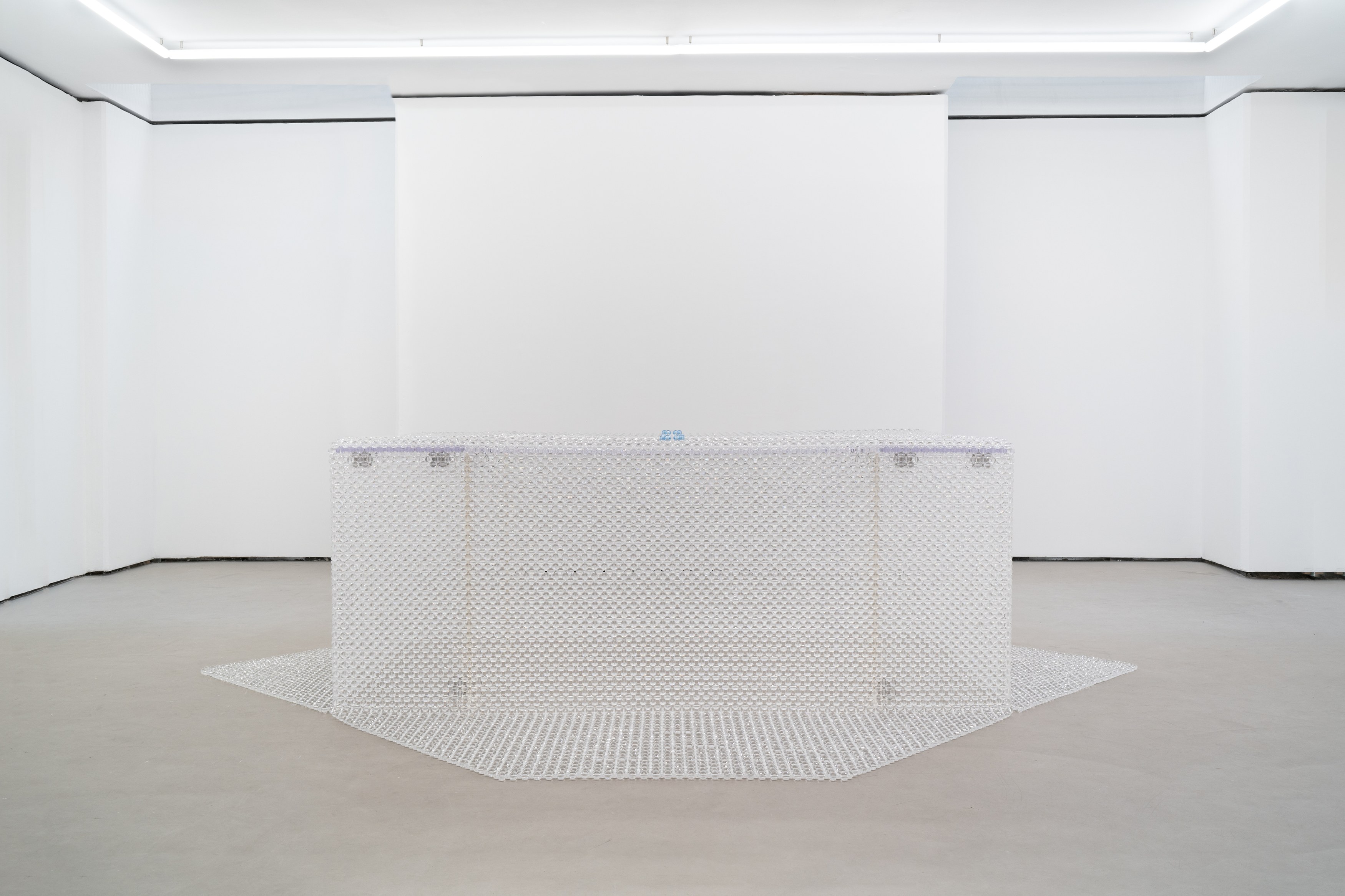 Zhi Wei, A Small Lie at Galerie Balice Hertling, photo 22