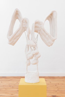 Image 2 of 19