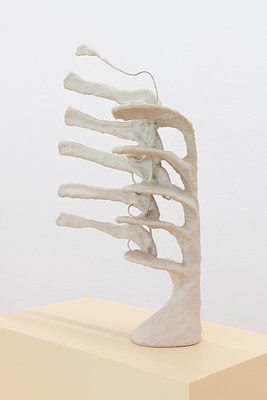 Image 4 of 19